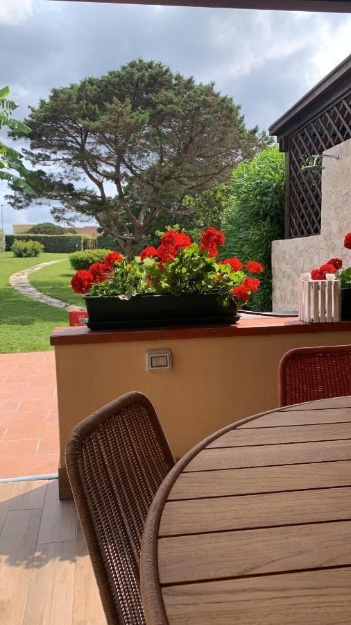 Pelosa - Capo Falcone Excellent Apartment Стинтино Экстерьер фото