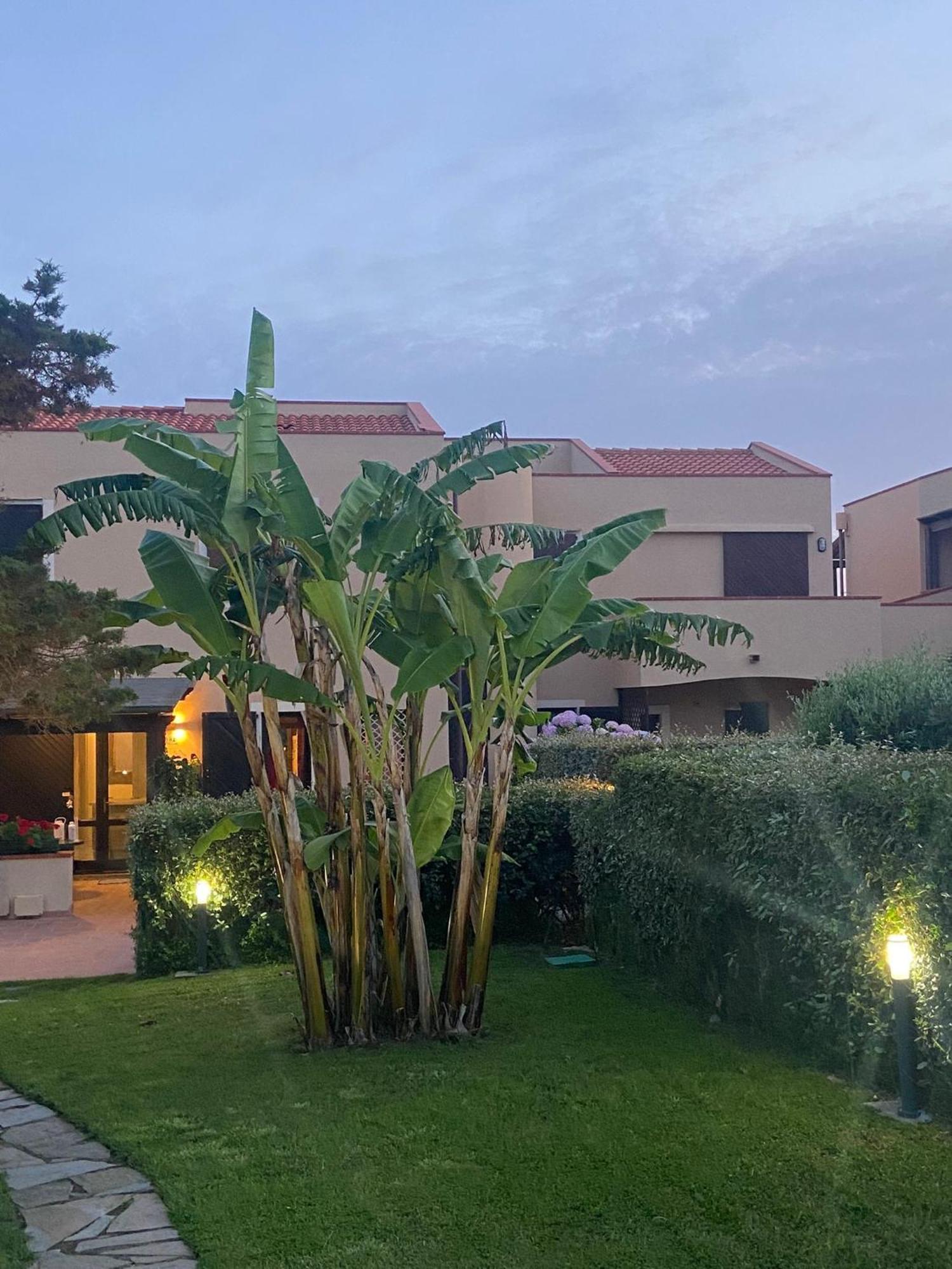 Pelosa - Capo Falcone Excellent Apartment Стинтино Экстерьер фото