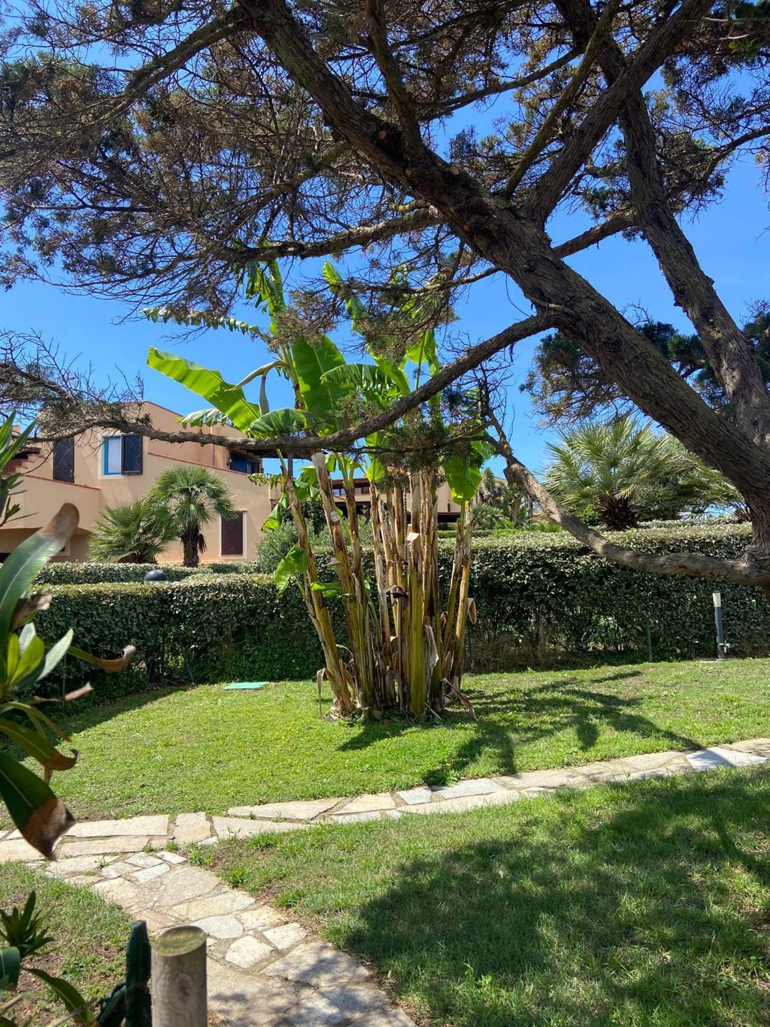 Pelosa - Capo Falcone Excellent Apartment Стинтино Экстерьер фото