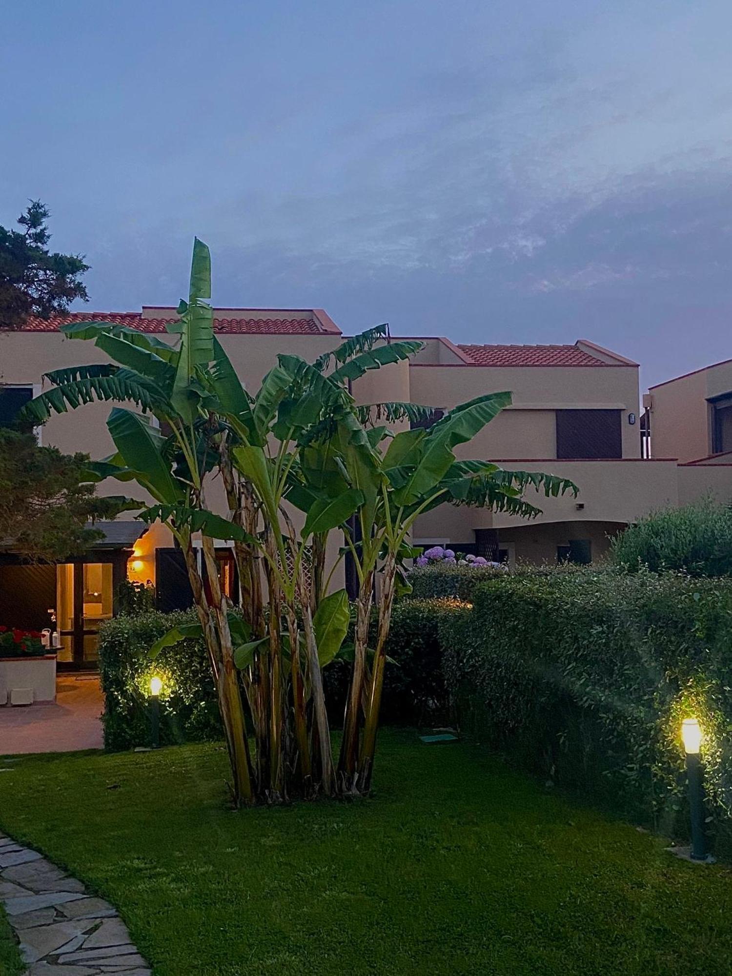 Pelosa - Capo Falcone Excellent Apartment Стинтино Экстерьер фото